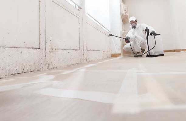 24/7 Emergency Mold Inspection experts in North Brunswick, NJ